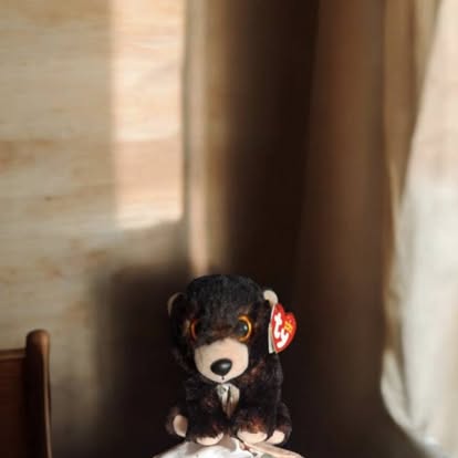 13BB0433-DB38-41C1-9114-A7D4F72CDF20