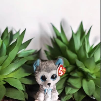 996D04EB-C716-46A8-993F-145511F97747