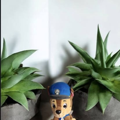 A2A9BEA8-3EC4-4958-A2CC-E8F161746E91