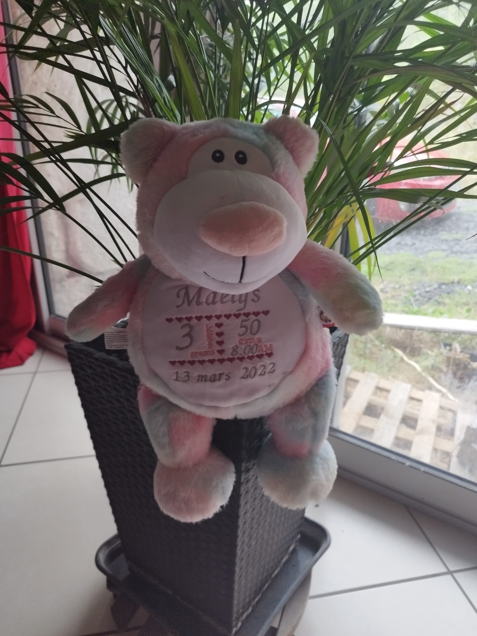 AFA385D4-1DD4-4929-8BB5-F797B3D80807