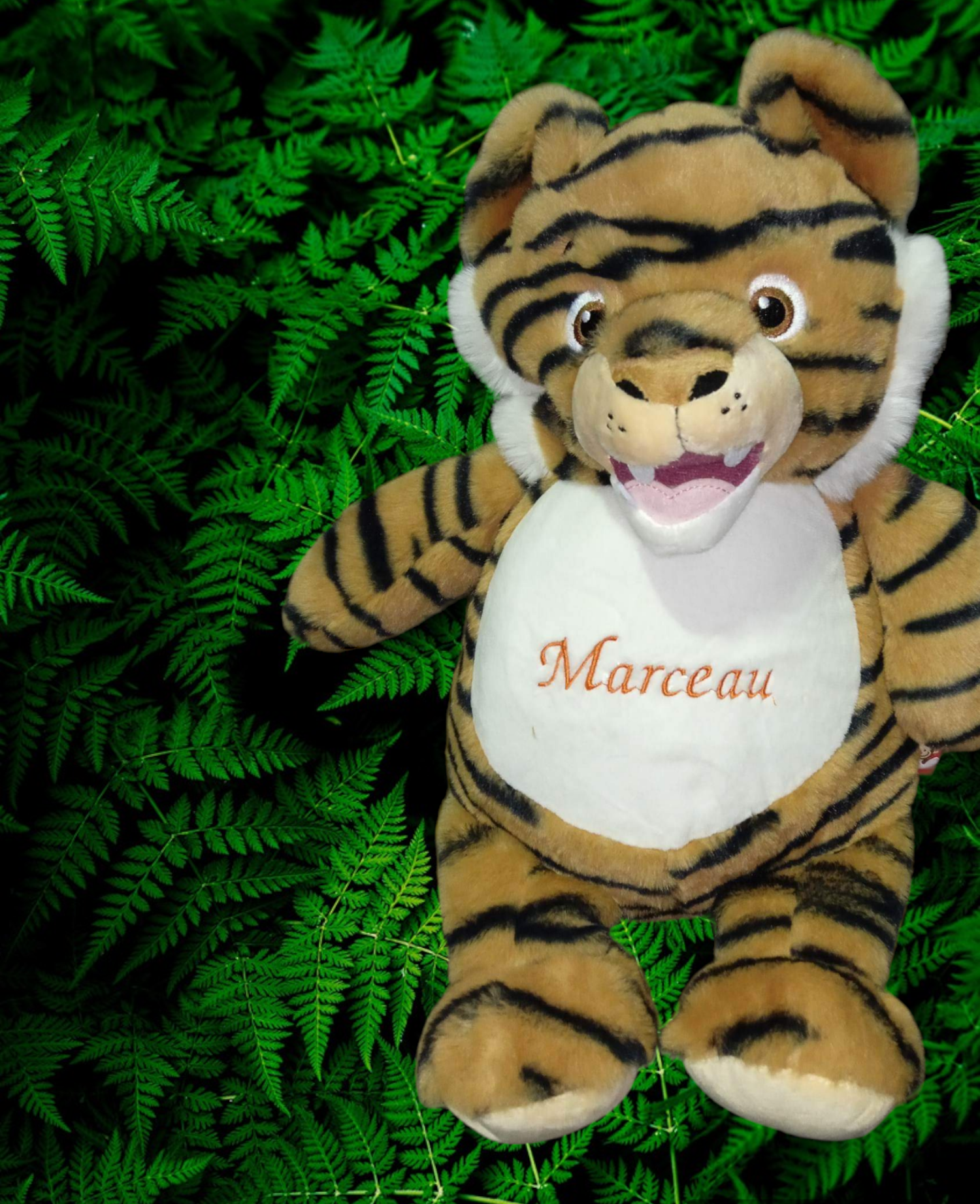 D79D080F-EA2D-43DA-81CD-9B25EF6681D5