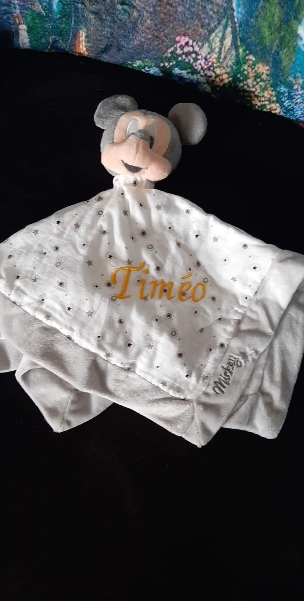 B9CD1DCA-180F-4A6E-8AED-A649E2BF6E6E