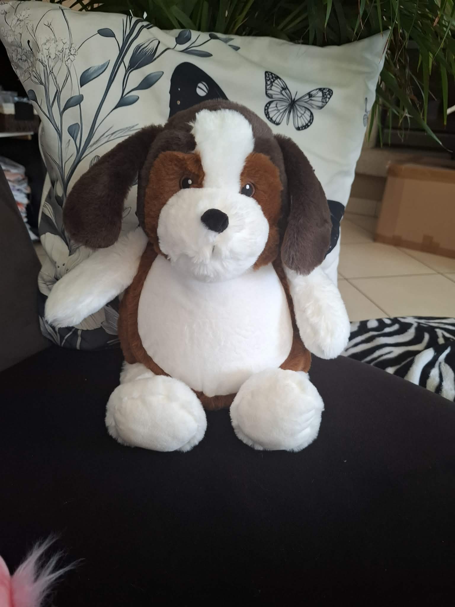 E5792CFE-63AE-479F-B69B-2F06FF6087FB